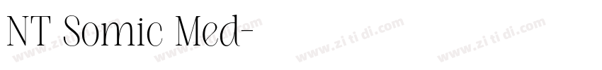 NT Somic Med字体转换